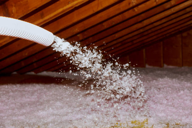 Best Specialized Insulation Services in Jefferson, WI